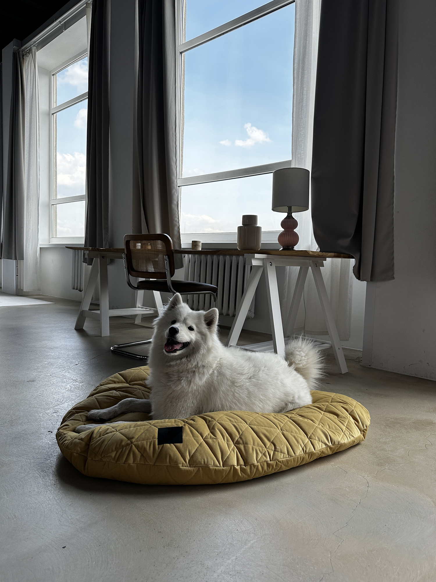 Żółty - obrazek 4