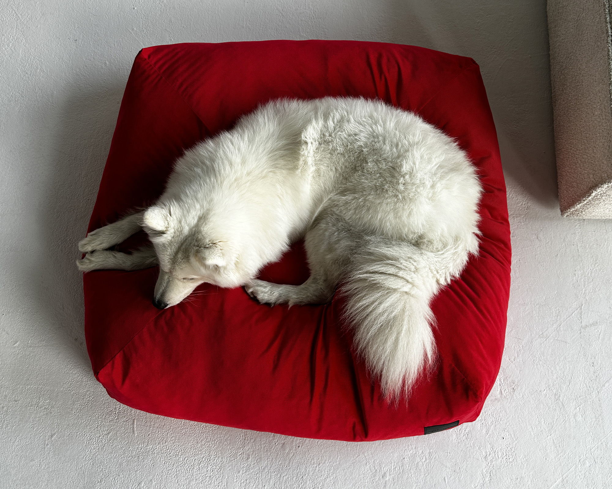 Czerwony - obrazek 4