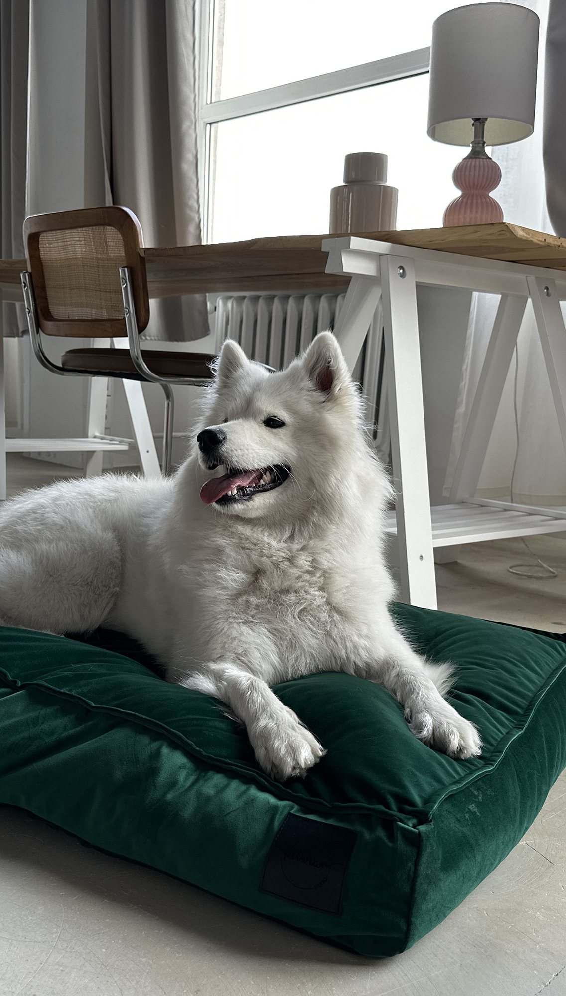 Butelkowa zieleń - obrazek 8