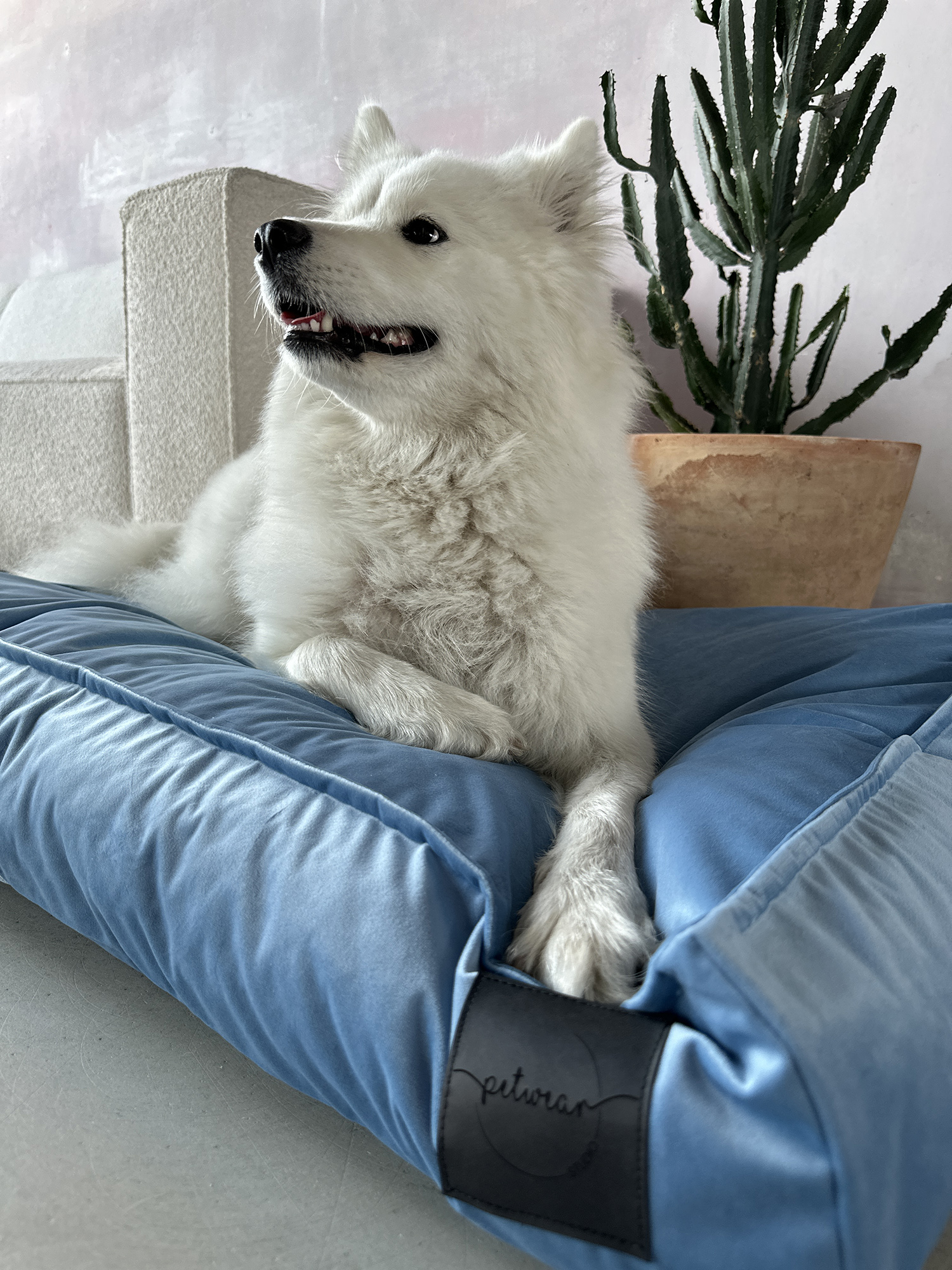 Baby Blue - obrazek 7