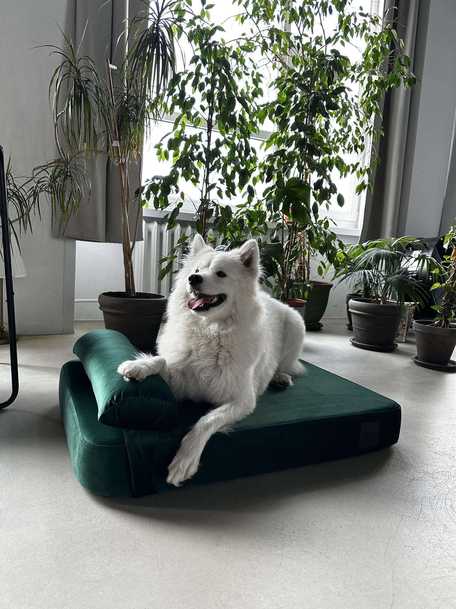 Butelkowa zieleń - obrazek 9