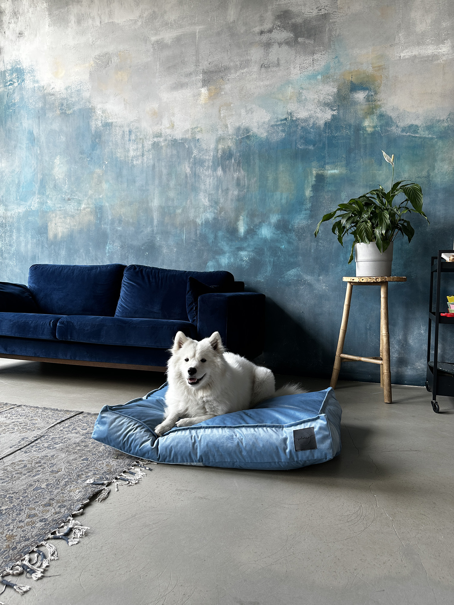 Baby Blue - obrazek 6