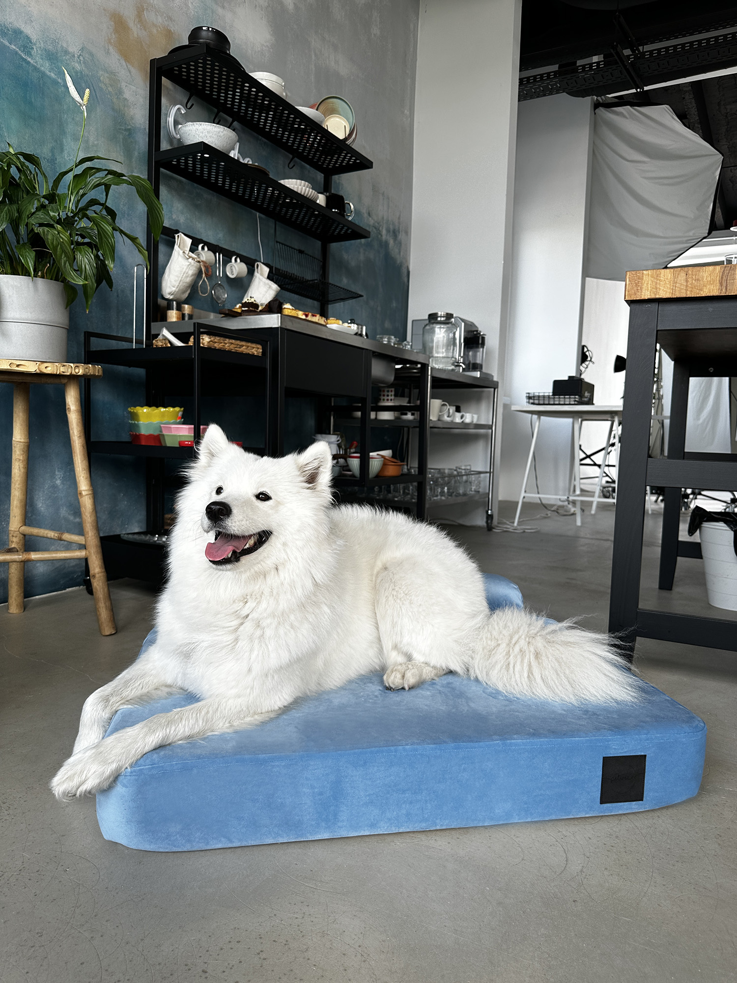 Baby Blue - obrazek 8