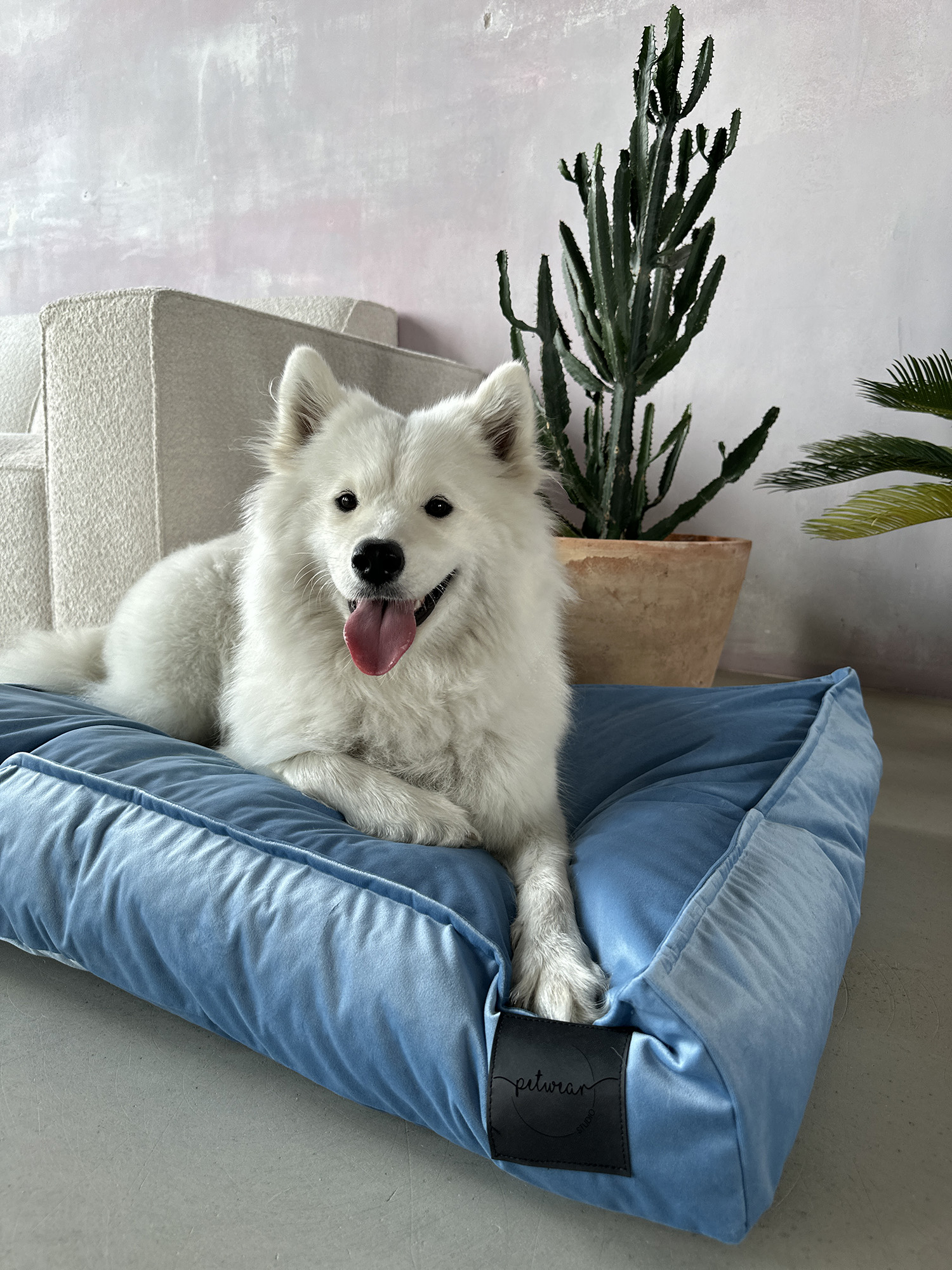 Baby Blue - obrazek 5