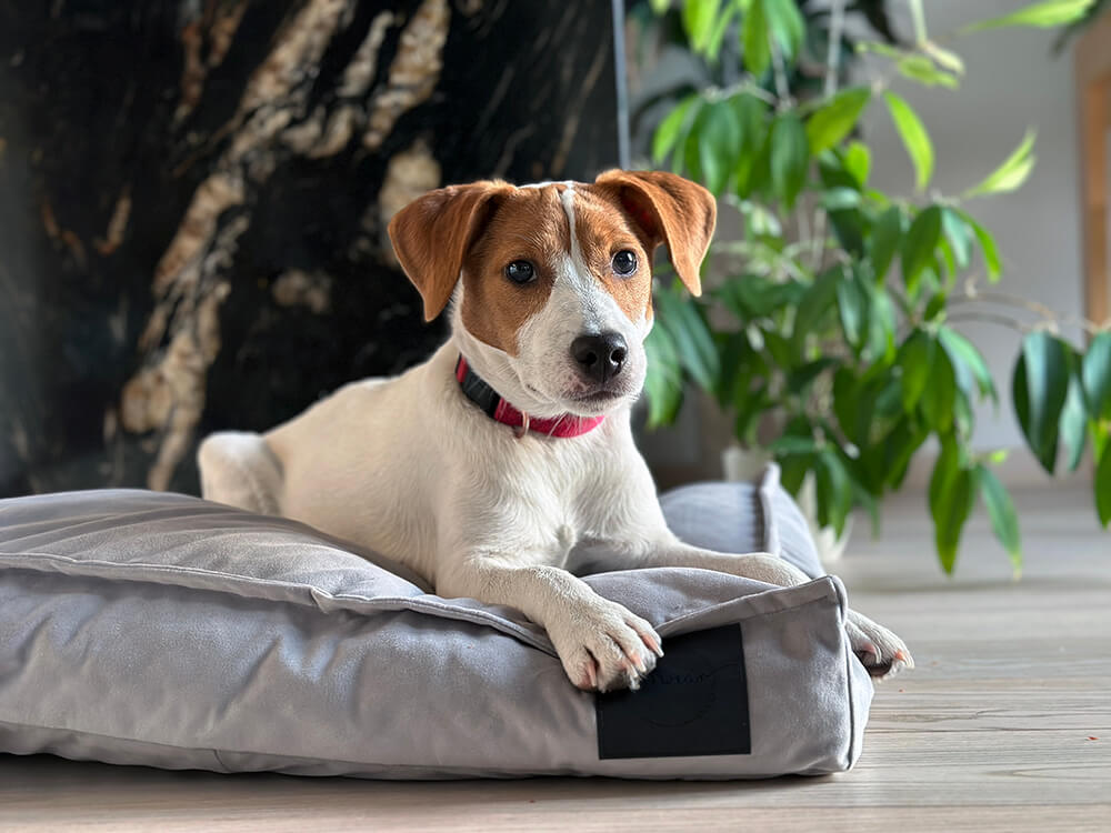 Jasnoszary - obrazek 4