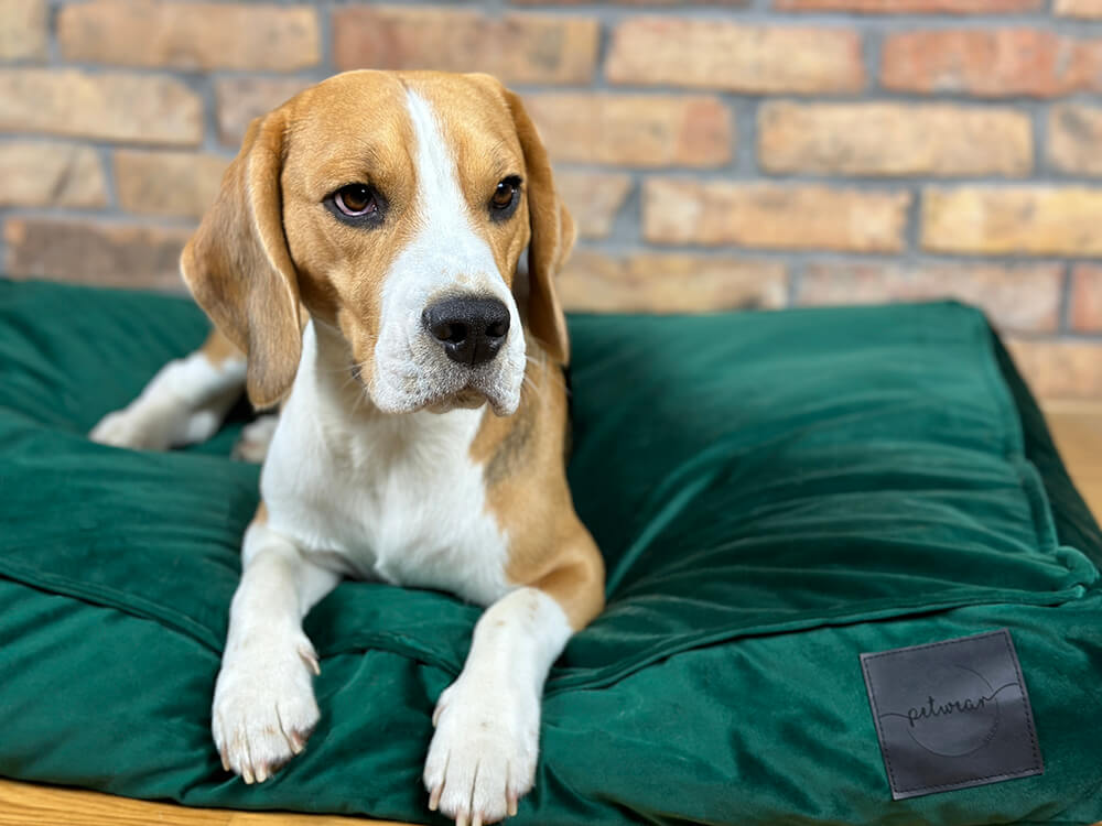 Butelkowa zieleń - obrazek 6