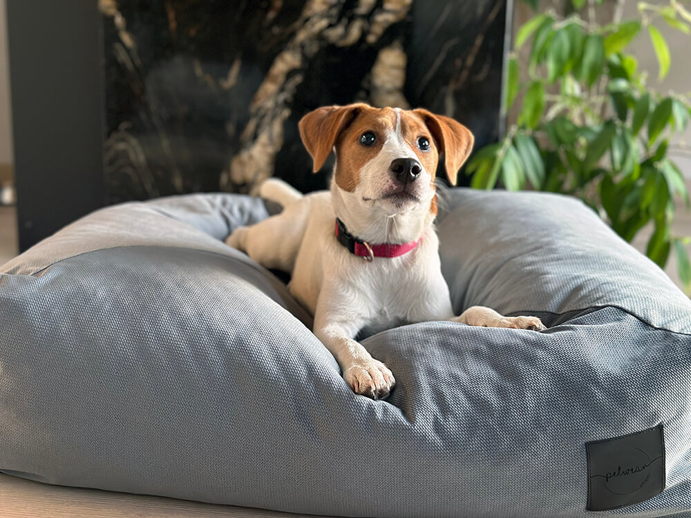 Jasnoszary - obrazek 4