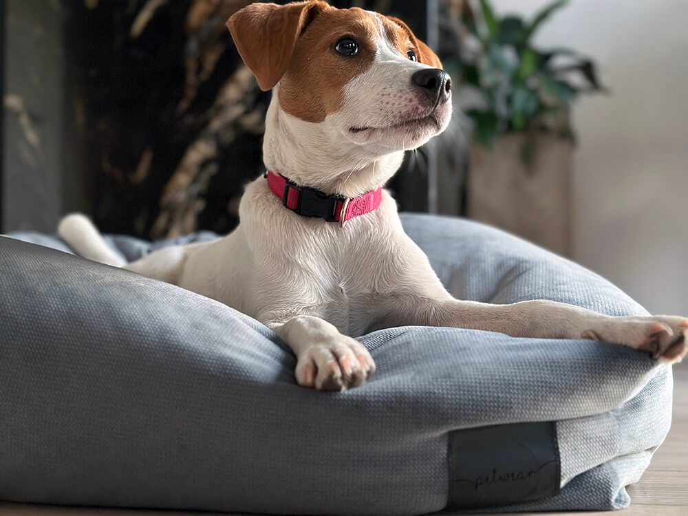 Jasnoszary - obrazek 6